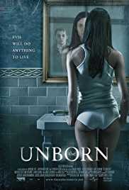 The Unborn 2009 Dual Audio Hindi 480p 300MB FilmyMeet